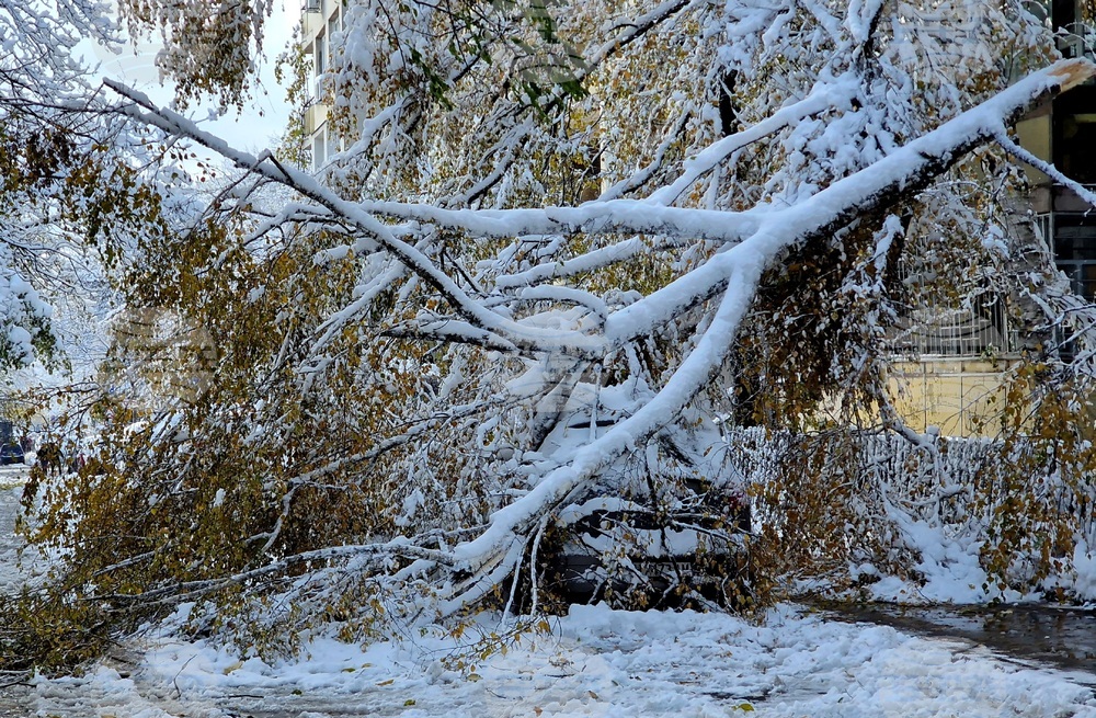 Столица- зимна обстановка