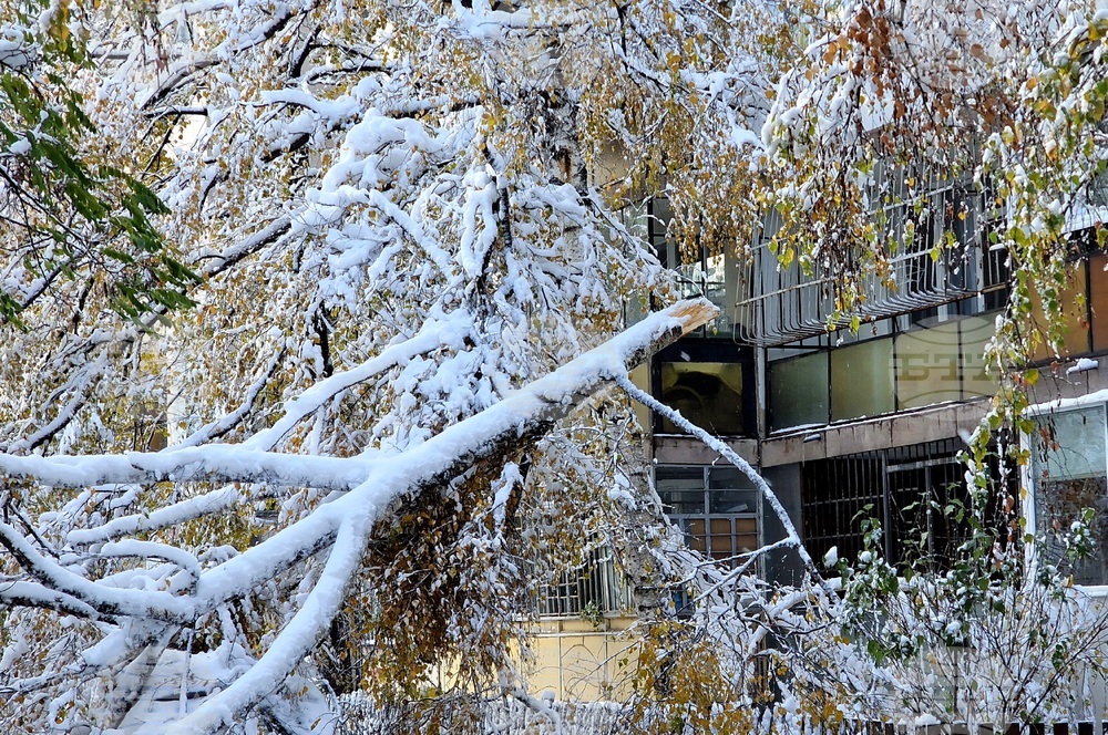 Столица- зимна обстановка