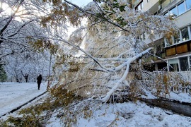 Столица- зимна обстановка