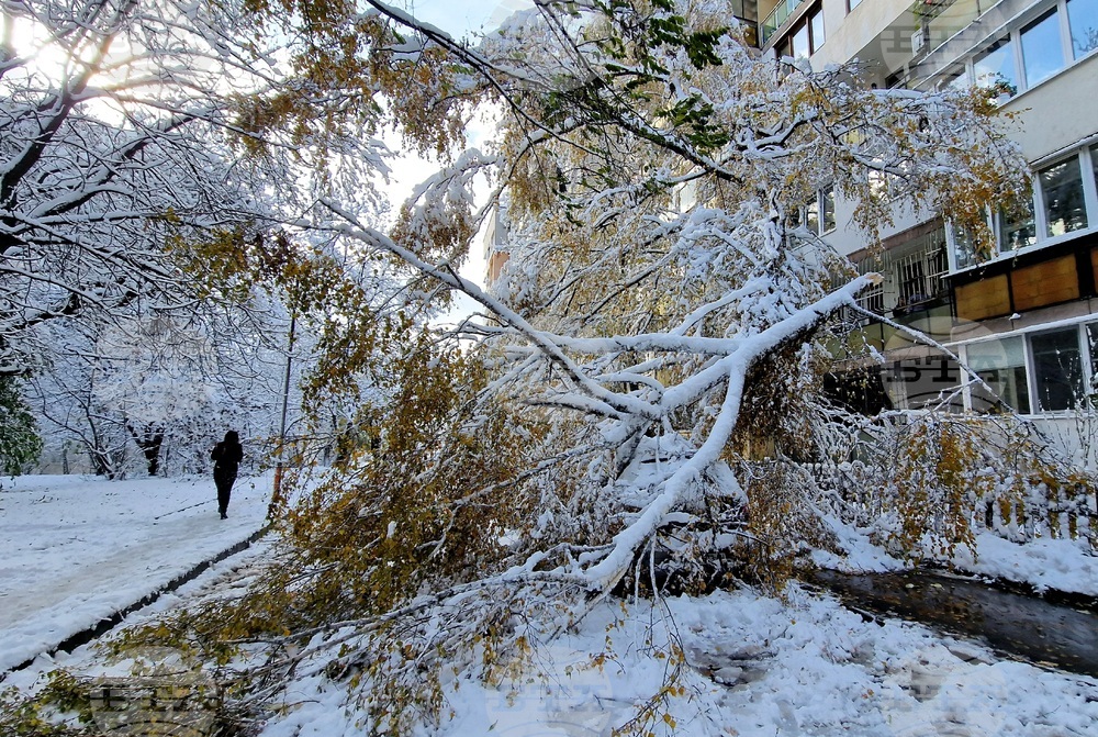 Столица- зимна обстановка