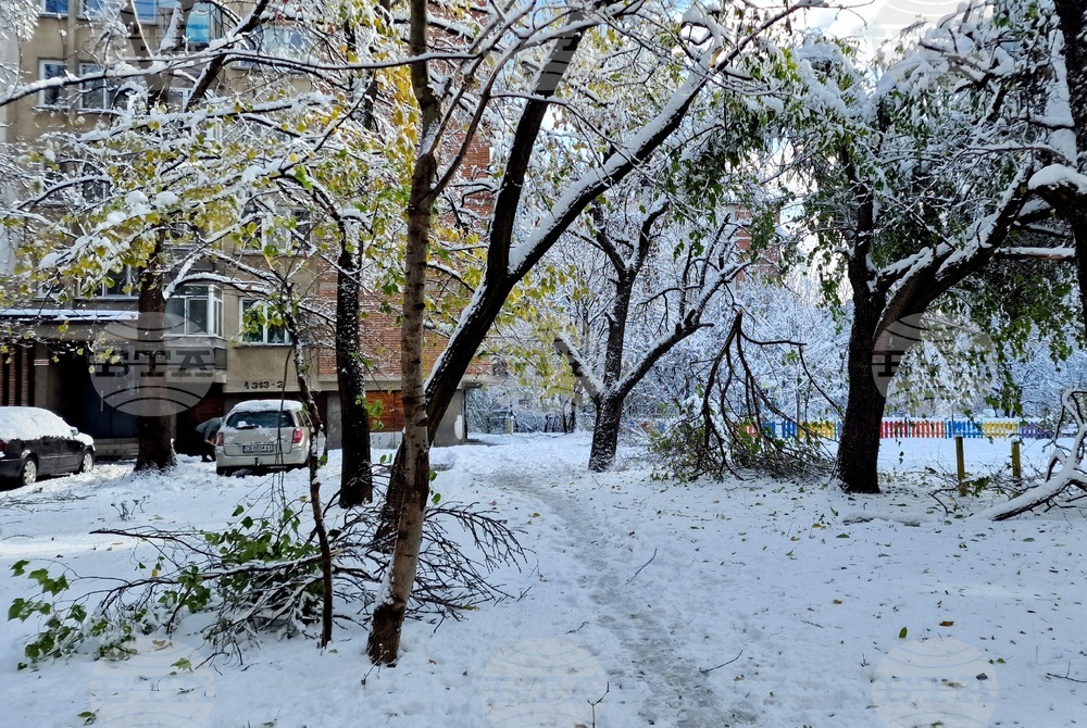 Столица- зимна обстановка