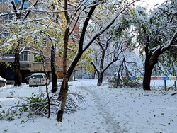 Столица- зимна обстановка
