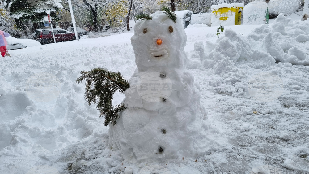 Търговище - парк - зима