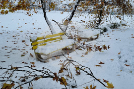 Търговище - парк - зима