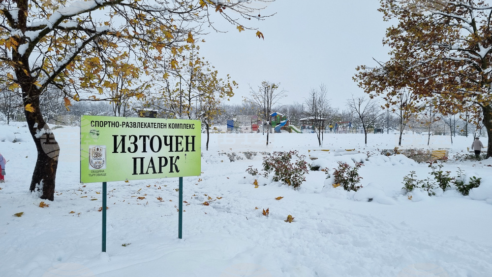 Търговище - парк - зима