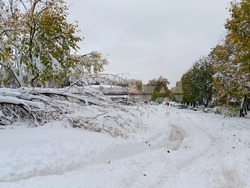 Снимка: Община Кубрат