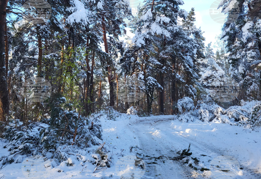 Самоков - зимни условия