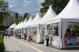 Панаир на книгата