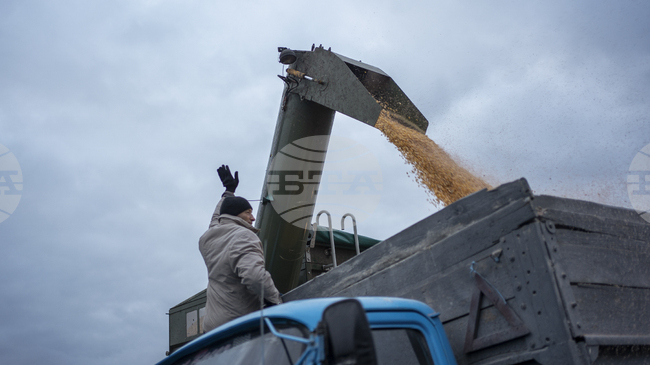Киев призовава Израел да задържи кораб, превозващ „откраднато“ украинско зърно