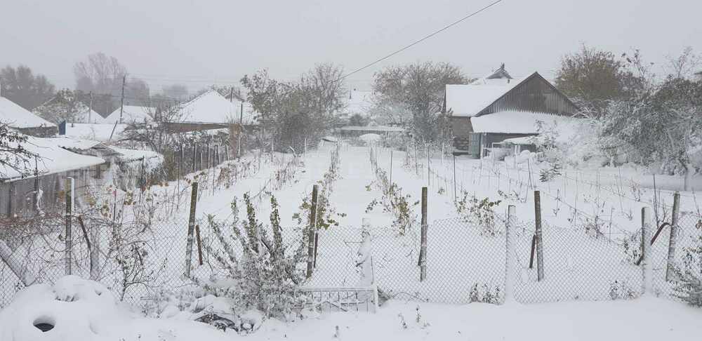 Pupils in Taraclia Miss School on Monday
