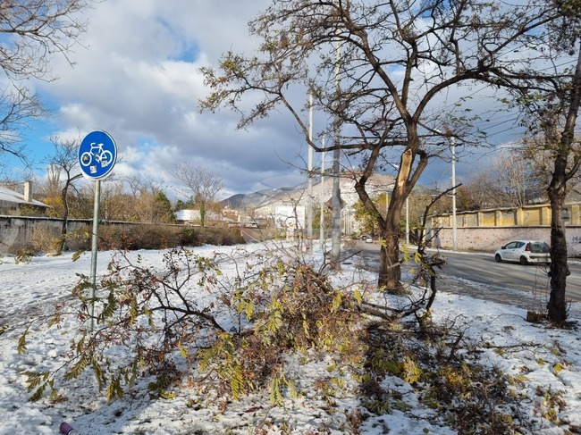 Сливен - зимна обстановка - пречупени клони и дървета