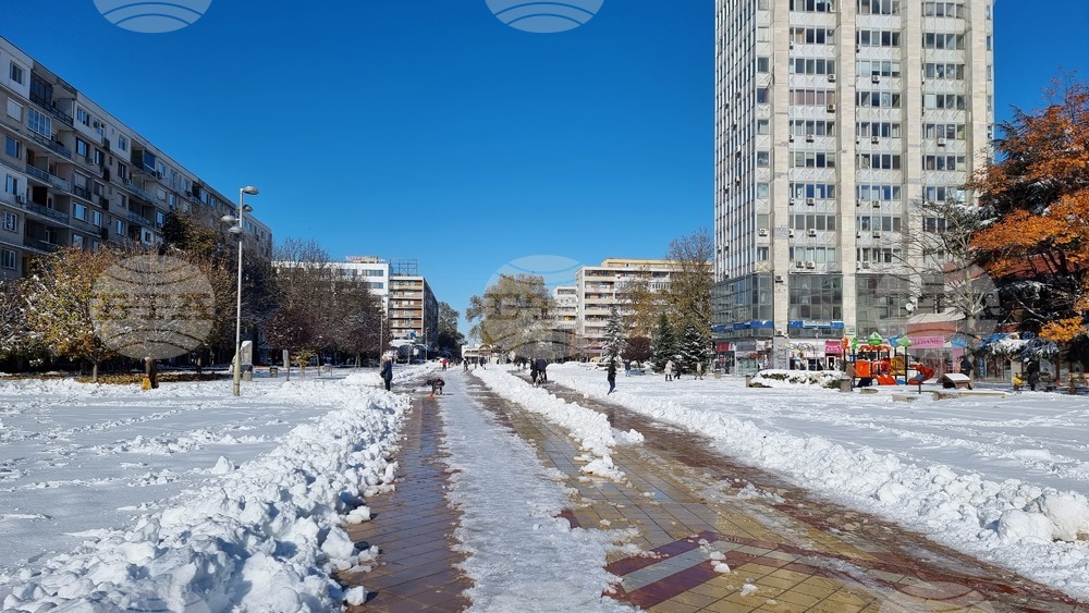 Добрич - обстановка след бурята
