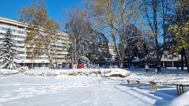 Общо 49 деца в област Добрич са настанени извън семействата им по различни причини през 2023 година