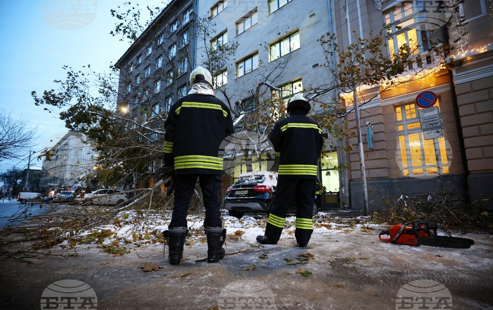 Пожарникари - счупени клони