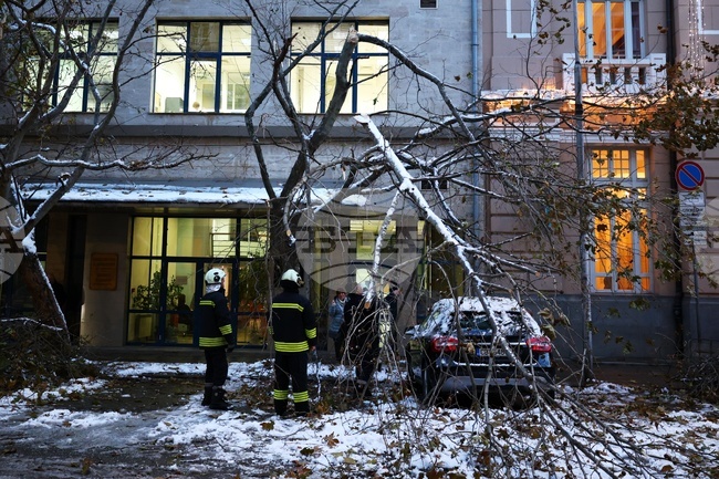 Пожарникари - счупени клони