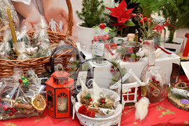 Варна  - Регионален център за развитие на социалната икономика