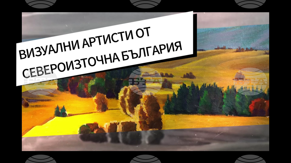 Проектът "Канал "Изящни изкуства Север Изток" представя в Русе 600 творби на съвременни творци