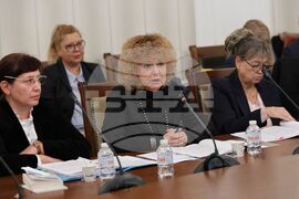 Парламент - Комисия по конституционни въпроси