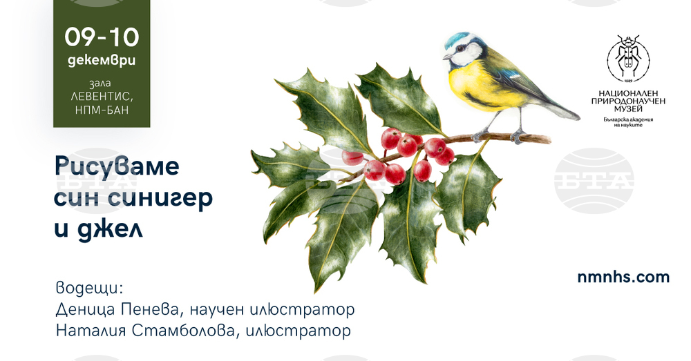 Млади художници рисуват син синигер и джел в предколедна работилница на Националния природонаучен музей при БАН