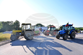 Чешнегирово - протест