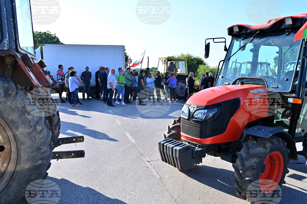 Чешнегирово - протест