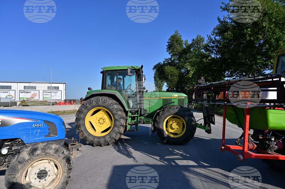 Чешнегирово - протест