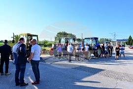 Чешнегирово - протест