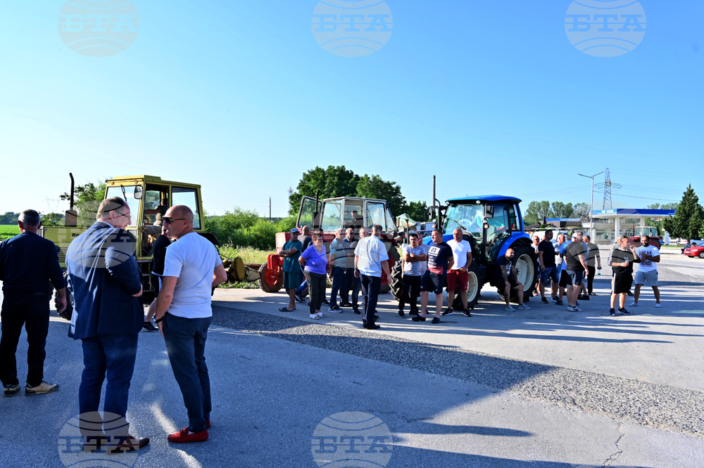 Чешнегирово - протест