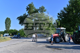 Чешнегирово - протест