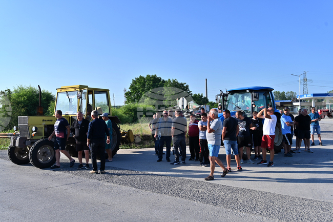 Чешнегирово - протест