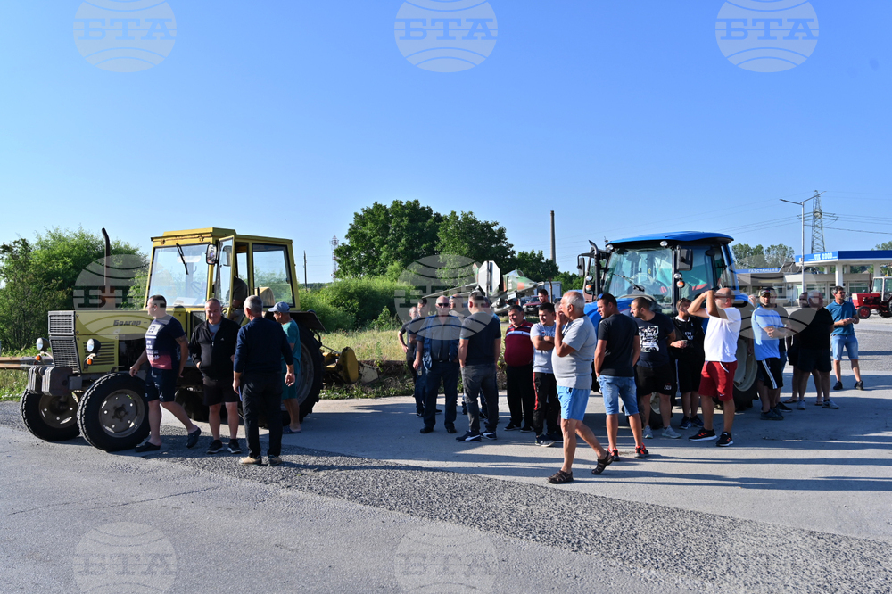 Чешнегирово - протест