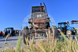 Чешнегирово - протест