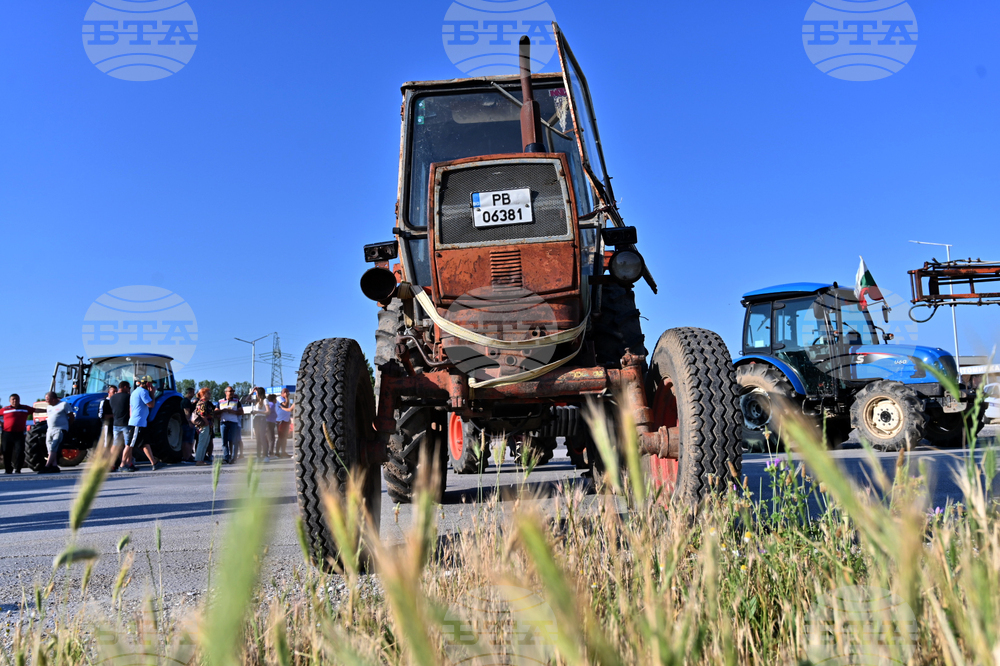 Чешнегирово - протест