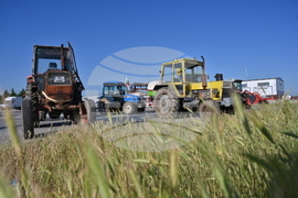 Чешнегирово - протест