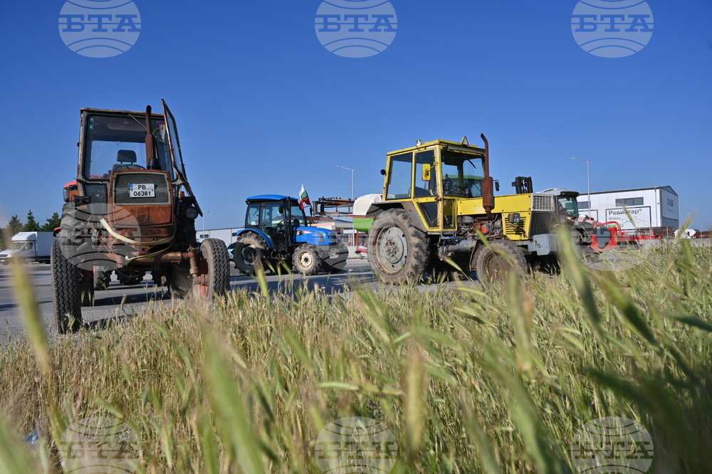 Чешнегирово - протест