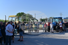 Чешнегирово - протест