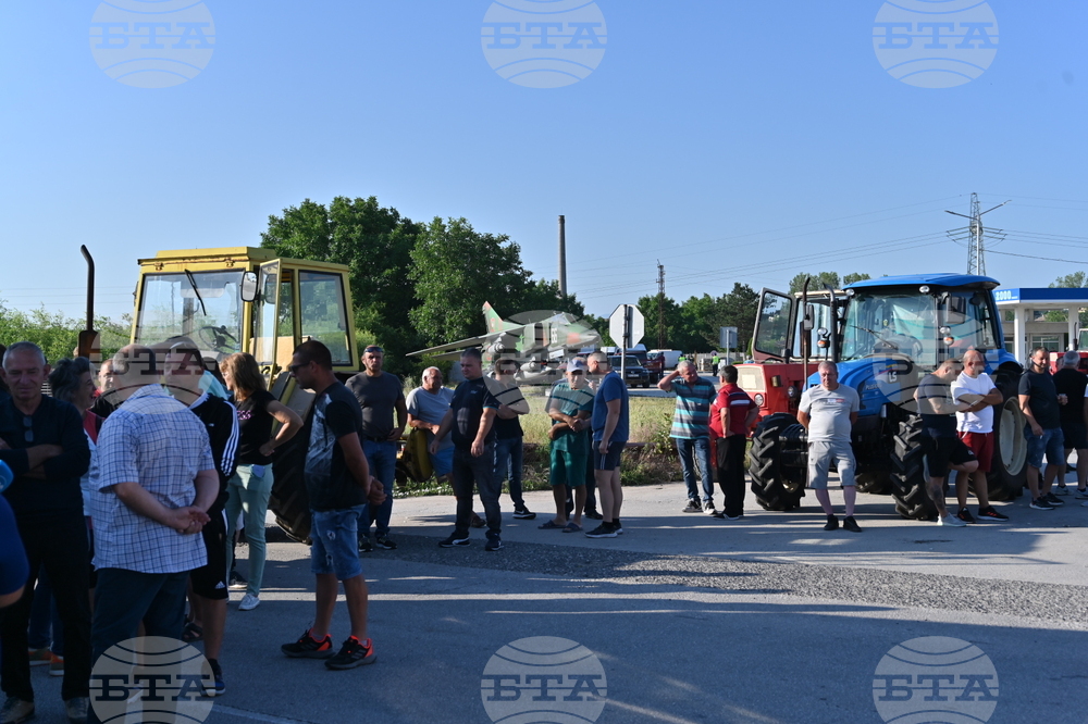 Чешнегирово - протест