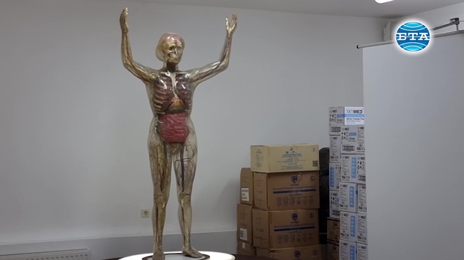 Стъклена фигура на жена вече десетилетия показва на ученици и възрастни в Кърджали функциите на човешкото тяло