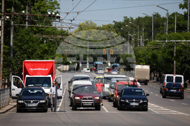 Ден на Ботев - сирени - почит