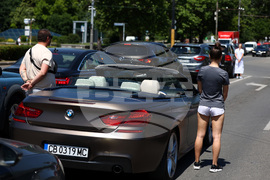 Ден на Ботев - сирени - почит