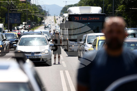 Ден на Ботев - сирени - почит