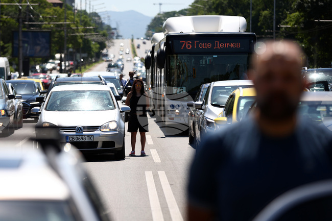 Ден на Ботев - сирени - почит