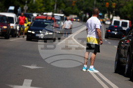 Ден на Ботев - сирени - почит