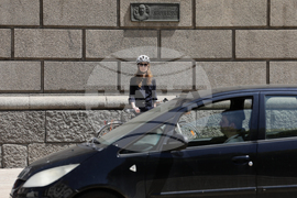 Ден на Ботев - сирени - почит