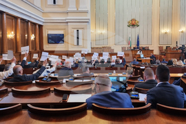 Парламент - Калина Константинова