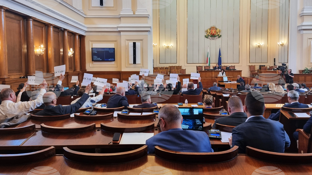 Парламент - Калина Константинова