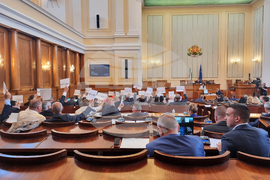 Парламент - Калина Константинова