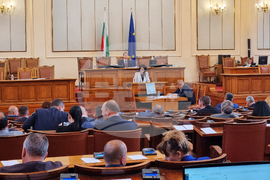 Парламент - Калина Константинова