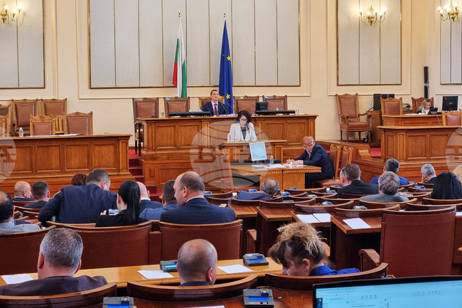 Парламент - Калина Константинова