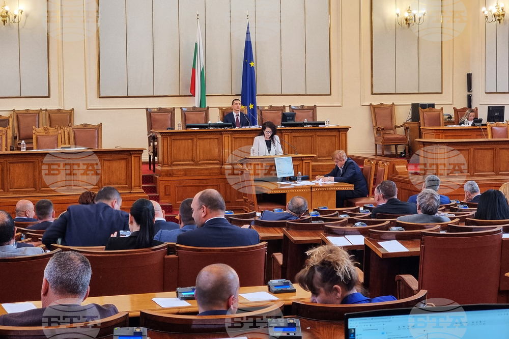 Парламент - Калина Константинова